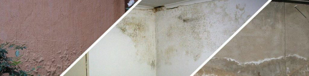 Common signs of damp