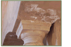 Efflorescence Damp Problem