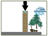 falling damp problem